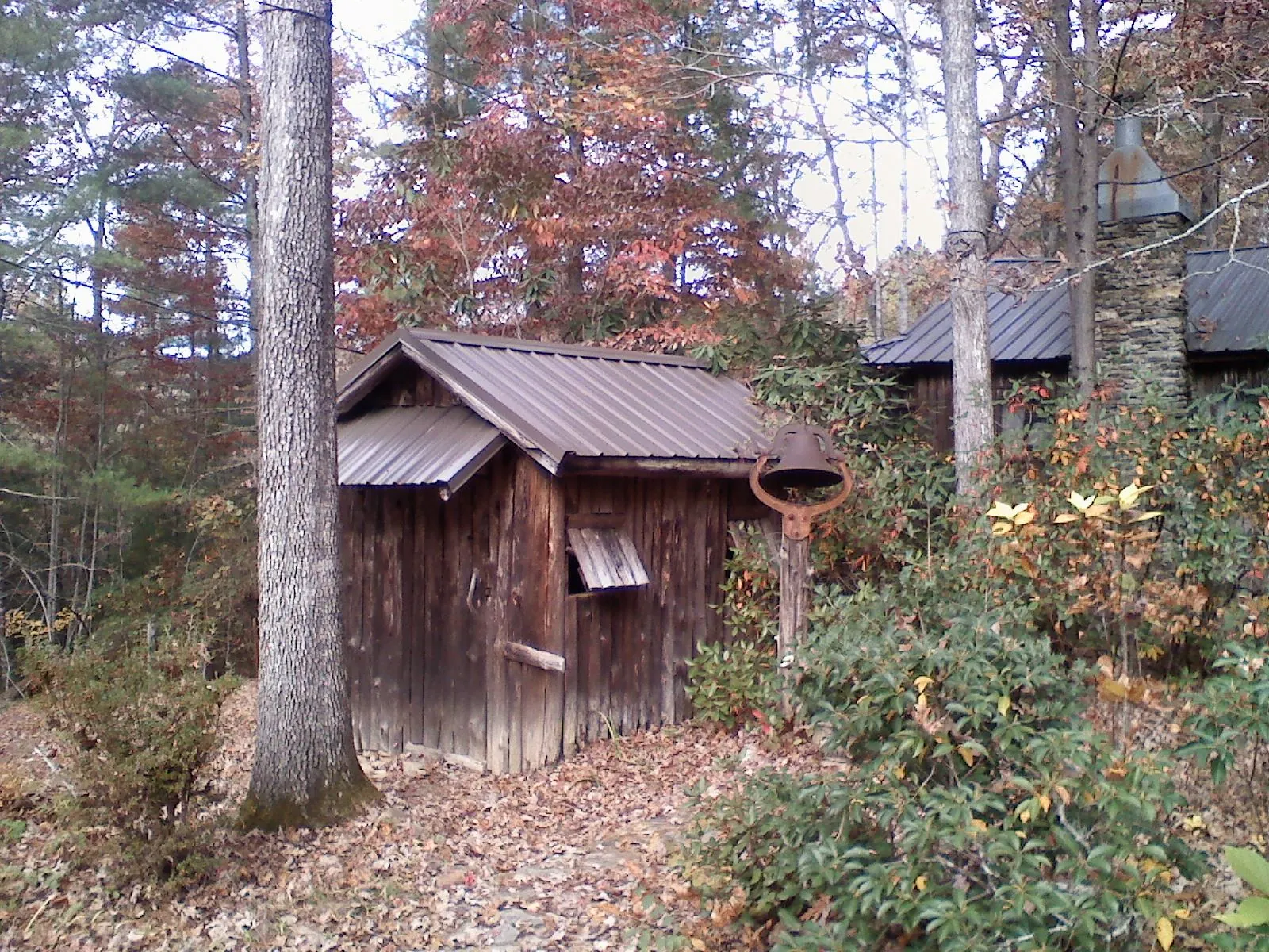 Small metal roof on a rough sawn shed in the woods in Sylacauga